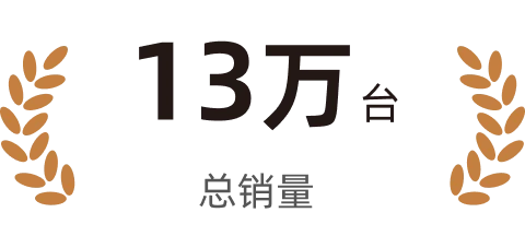 13 万台总销量